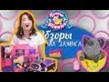 Обзор на пигис милашки в чайной чашке (Teacup Piggies Review) на Русском языке