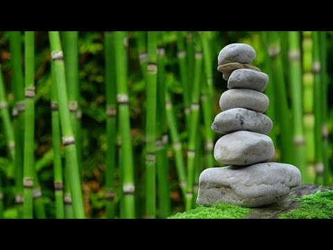 Morning Meditation,Nature sounds Relaxing music /Relaxing Music World -For you