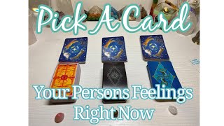 ?Pick A Card? Your Persons Feelings For You Right Now ??????????