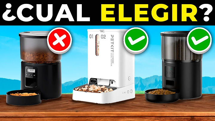 😮 Los 5 MEJORES DISPENSADORES de COMIDA AUTOMÁTICOS Para GATOS 2025