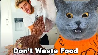 Do You Think Wasting Food Is FUNNY OR NOT?🌭🍟😢| Oscar’s Funny World #funnycat #catsoftiktok by Oscar's Funny World 4 months ago 2 minutes, 9 seconds 31,562 views