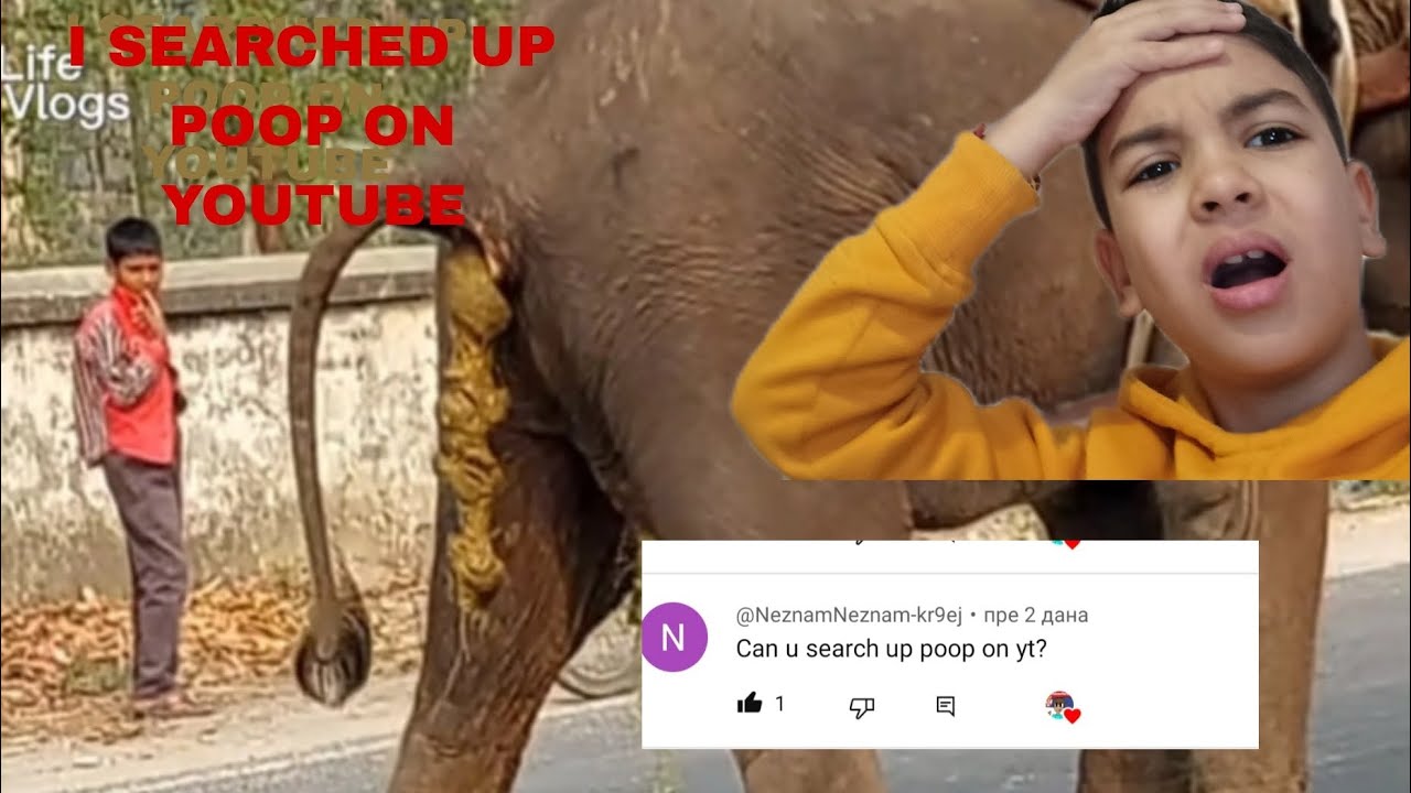 I SEARCHED UP POOP ON YOUTUBE YouTube