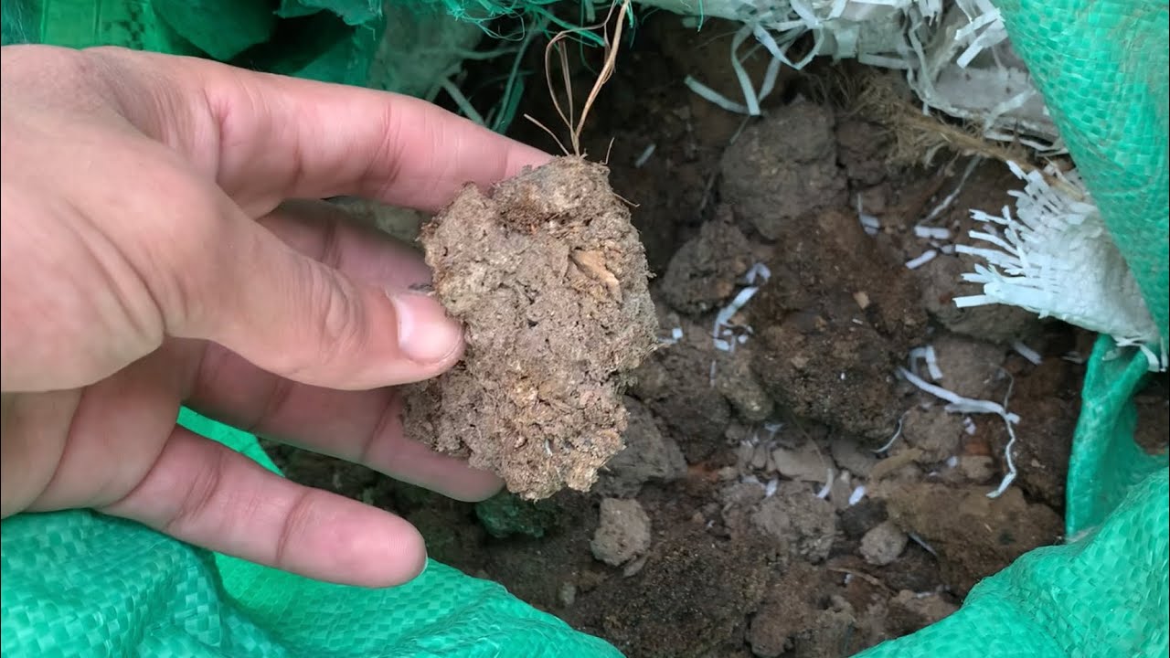 أفضل طريقة لتسميد الأشجار بسماد طبيعي عضوي وشرح لأهمية السماد والعناصر الكبرى والصغرى للنباتات