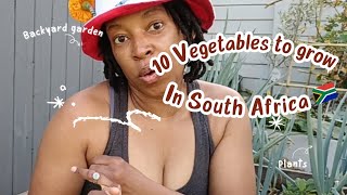 10 Vegetables to go in Autumn | South African Garden @bettykgampe