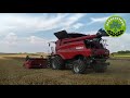 Żniwa 2020 w Dolnej. Pokaz polowy pracy Case IH Axial Flow 6150.