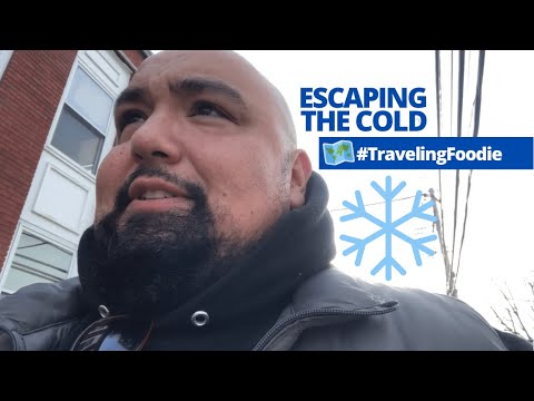 Travel Vlog 🗺 Eating in Fishkill, NY + Escaping The Snow 🥶 WaWa Breakfast + Stray Cat 🐱