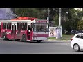 Внедрение системы ГЛОНАСС для контроля графиков движения автобусов в мобильном приложение в Саратове