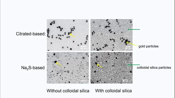 Weihua Liu: Experimental evidence of gold nanopart...