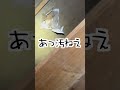 古民家の天井が穴だらけでヤバかったw