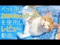 ペット用クールマット2WAYecoクーラーを使用した気分になれる動画【兄弟猫のトモとユウ Twins Cat】