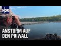 Wenn es an der Ostsee stressig wird | die nordstory | NDR Doku