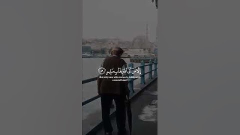 ولا تخزني يوم يبعثون #سورة_الشعراء #ياسر_الدوسري #قران #ريح_قلبك