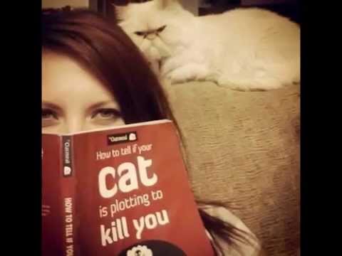 Top 10 Cats Reading Books About Cats