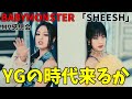 Ygbabymonstersheesh mv