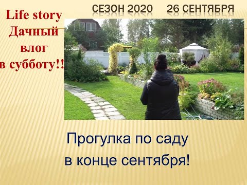 Прогулка по саду
