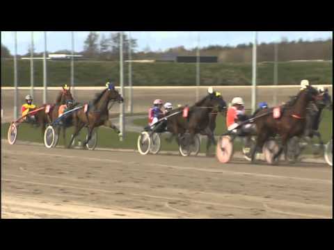 Vidéo de la course PMU CHAMPIONNAT D'HIVER (FINALE TROTTEUR FRANCAIS SILVER CHALLENGE)