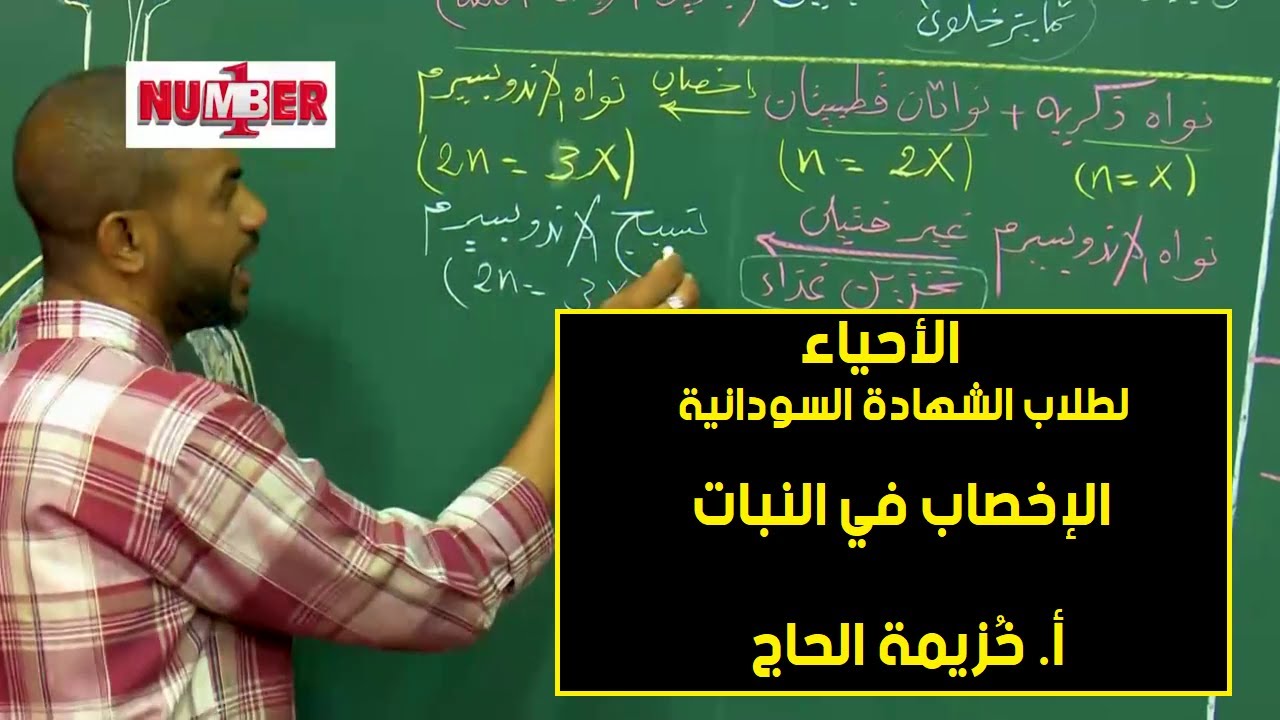 الأحياء | الإخصاب في النبات | أ.خزيمة الحاج | حصص الشهادة السودانية