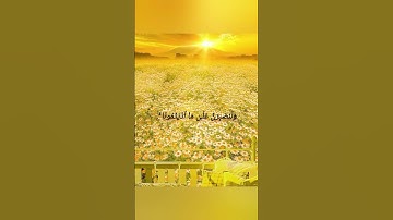 #سورة_إبراهيم #اسلام_صبحي #محمد_ديبيروف #المصحف