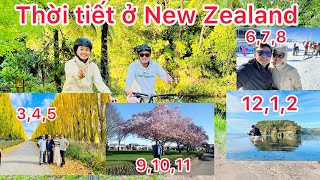 Thời tiết ở #newzealand sẽ như thế nào. #cuocsongnewzealand #beautifulnewzealand #newplymouth