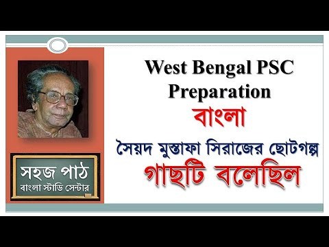 ভিডিও: বনফুল এবং স্যাঁতসেঁতে মাটি - জল সমৃদ্ধ বাগানে বন্যফুল জন্মানো