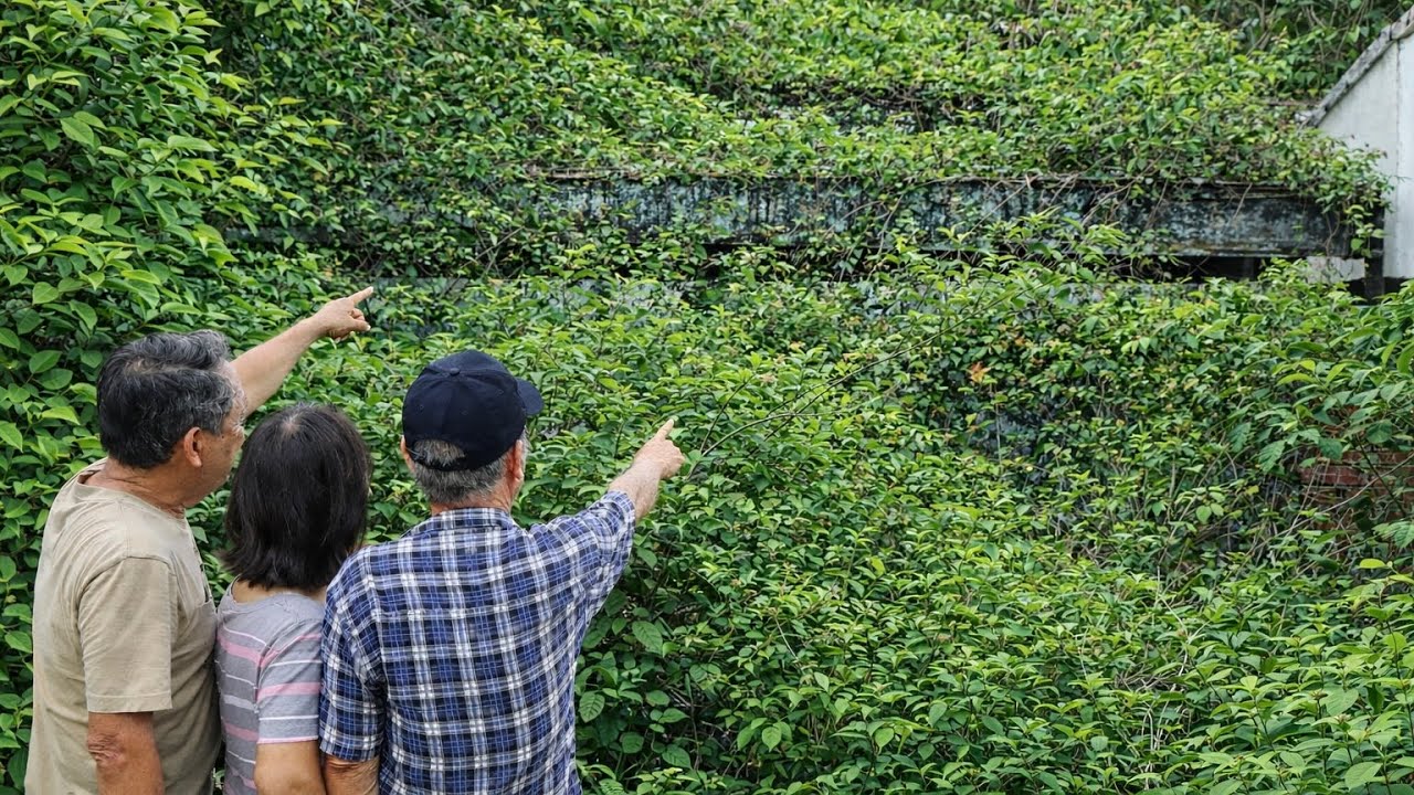 Unbelievable Cleanup of a House Buried for Years | Extreme House Cleaning Transformation