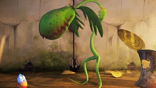 larva human plant cartoon movie cartoons for children larva cartoon larva official