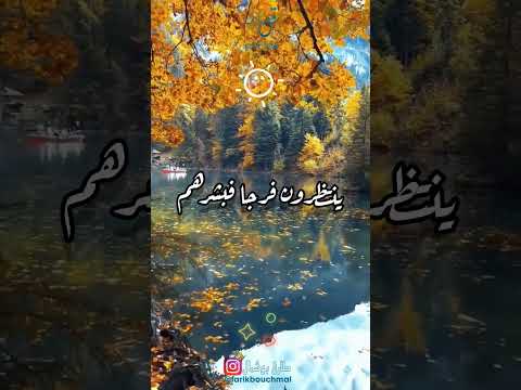 اللهم ان الامر امرك والخلق خلقك والقضاء قضاؤك ولا حول ولا قوة لنا الا بك