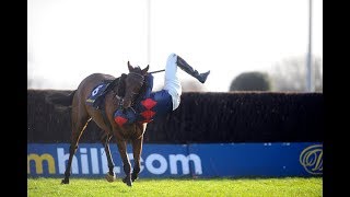 Download Lagu Horse Racing Thrills and Spills 2019 MP3