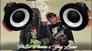 Yng Lvcas & Peso Pluma - La Bebe remix (Bass Boosted)