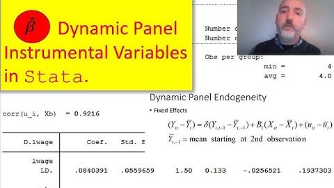 Dynamic Panel IV in Stata