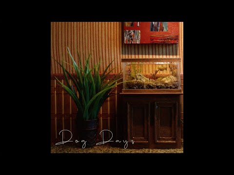 Walter Sprig - Dog Dayz