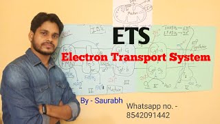 TGT PGT Biology class -4 Electron Transport System / Electron Transport Chain / ETS or ETC