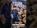 비오는날 황영웅과 한우곱창 데이트 #황영웅 #비가온다 #파라다이스 #한우곱창