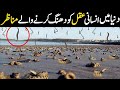 Natural phenomena in the world urdu hindi  mysterious phenomena  the internal truth