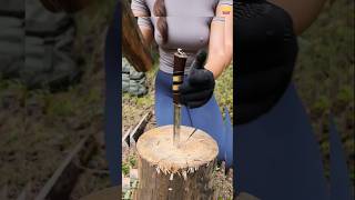 preaty woman know how to born fire.#viral #wildlife #ytshorts #nature1 #viralvideo #sultar #forest