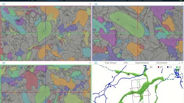 webKnossos: Creating 3D Isosurface Renderings on Demand