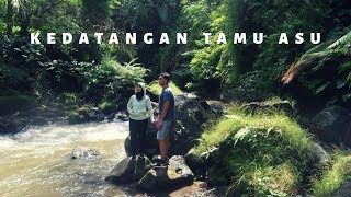 TANTRI ARDA - LAGI NGOBROL ADA TAMU ASU