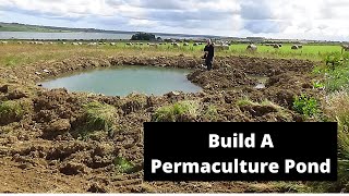 How to build a permaculture pond without a liner.
