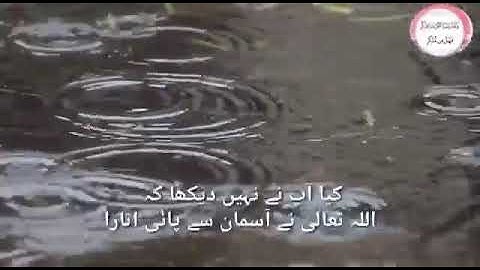 سورة فاطر الشيخ خالد الرياعي 🌹