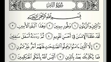 سورة التين مكررة ٥ مرات للقارئ ماهر المعيقلي