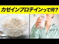 カゼインプロテインのメリットとおすすめの摂取タイミング【ビーレジェンド プロテイン】