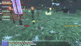 FFXI campaign Shadowhand Jan2009 syndre 2/2