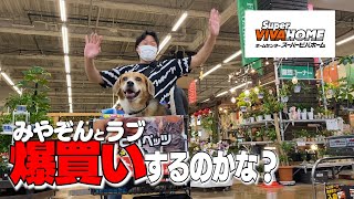 みやぞんとラブ、スーパービバホームで爆買いするのかな？