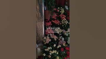 مِن سُورة الزمر | القارئ : محمد البيتي