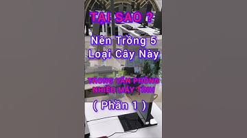Tại Sao Nên Trồng 5 Cây Này Trong Văn Phòng Nhiều Máy Tính (Phần 1) #dinhduong #health #suckhoe