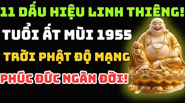 11 Dấu Hiệu Báo Ứng Linh Thiêng! Tuổi Ất Mùi 1955 Là Người Trời Phật Độ Mạng, Phúc Đức Ngàn Đời!