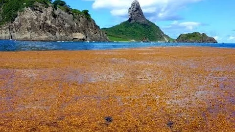 Onde fica o mar dos Sargaços?
