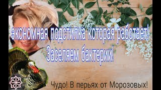 Экономная подстилка которая работает//Заселяем бак...