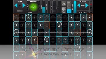 GeoShred String Physical Model Features