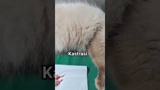 Download Lagu 21 Februari 2024 MP3